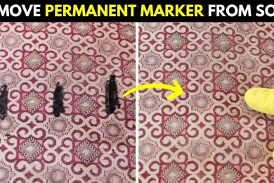 3 Best Ways to Remove Permanent Marker from Sofa