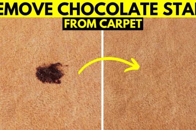 How to Remove Chocolate Stains from Carpet