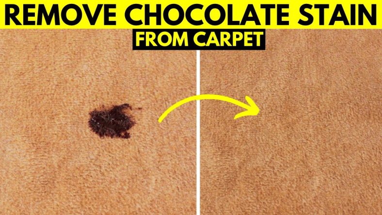 How to Remove Chocolate Stains from Carpet