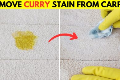 How to Remove Dried Curry Stains from Carpet