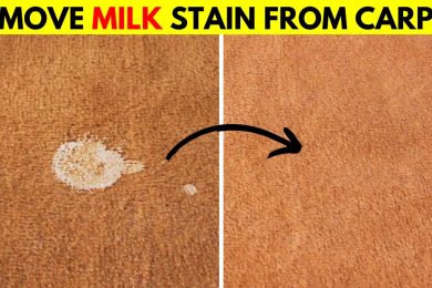 How to Remove Milk Stains from Carpet