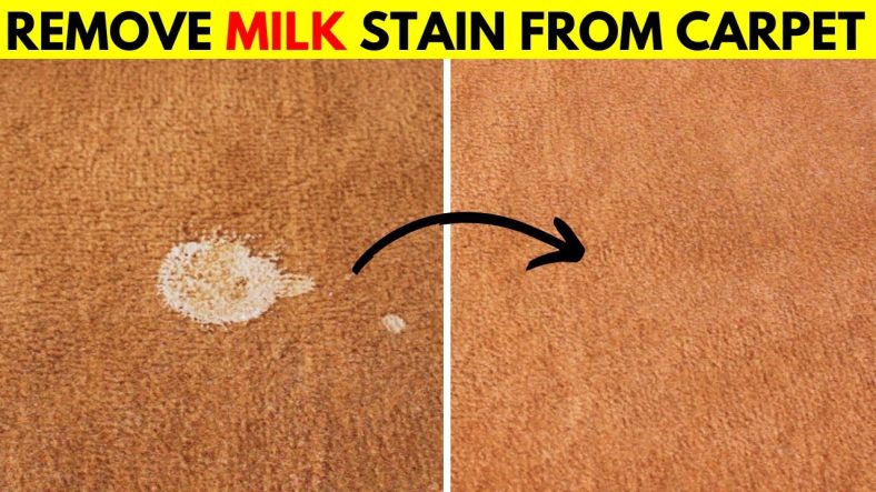 How to Remove Milk Stains from Carpet