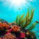 Underwater Wonders: Discover Belize’s Marvels Beneath