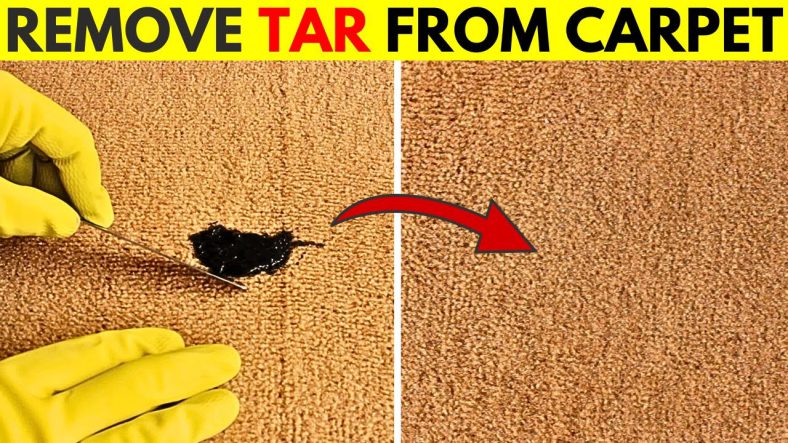 How to Remove Dried Tar from Carpet