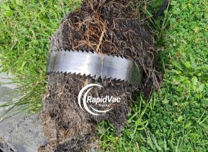 Vac Trucks for Clearing Tree Root Blocked Drains