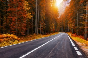 A scenic road curves gently through a forest of vivid autumn trees with red and orange leaves. The sun peeks through, casting a warm glow over the scene, offering essential tips for an Italian road trip. Towering pines stand among the foliage, framing the path with grassy edges and white markings.