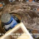 Victorian Tiles: Essential Restoration Techniques to Master