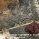 Slate Floor Restoration Timeframe in Australia