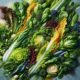 Salad Recipes: Fresh and Delicious Meal Inspirations