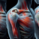 Acupuncture Techniques for Effective Frozen Shoulder Relief