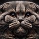 Scottish Fold Ear Maintenance: Key Tips for Care