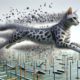 Egyptian Mau Training for Boosting Speed and Agility