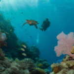 Belize Barrier Reef: Dive and Snorkel in 2025 Adventure
