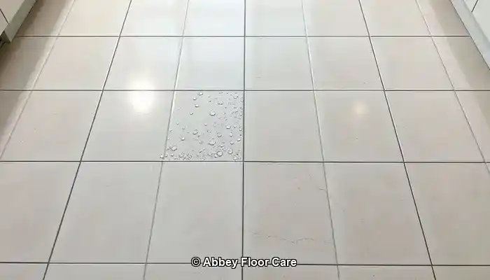 Grout Sealing Methods for Long-lasting Protection Solutions