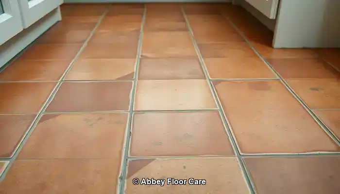 Identifying Why Terracotta Floors Accumulate Dirt Quickly