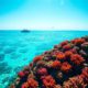 Belize Travel Guide: Key Tips and Location Insights