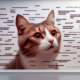 Cat Meme Guide: Achieving Feline Fame Online