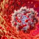 Ferritin Blood Test: A Health Guide for Bootle Residents