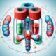 Thyroid Blood Test Guide for Telford Residents