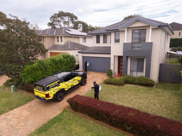 Pest Control Solutions for a Bug-Free Home Experience