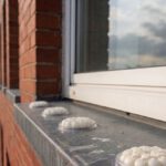 Bird Proofing Solutions: Alternatives to Gel Repellents Without Spikes