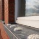 Bird Proofing Solutions: Alternatives to Gel Repellents Without Spikes