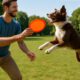Dog Training with Frisbee Throwing Techniques Today!
