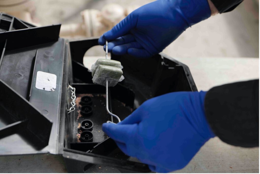 Rat Bait Laws: Essential Updates for Australians