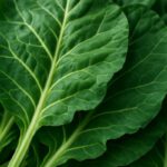 Collard Greens Recipe: A Nutritious Slow-Cooked Delight