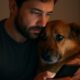 Veterinary Emergency Contacts for Your Pets’ Safety