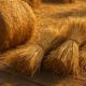 Cooking with Hay and Straw: Fresh Recipe Inspirations