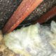 Asbestos Concerns: Essential Tips for Selecting a Skip Bin