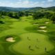 Alexander Golf Club: Premier Local Golf Experiences
