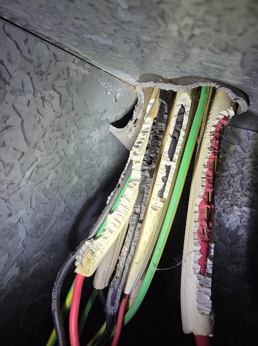 Managing Ants, Rats, and Mice: Electrical Faults Explained