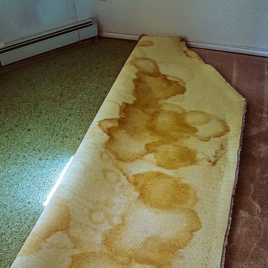 Dispose of Carpet and Underlay in Sydney with Ease