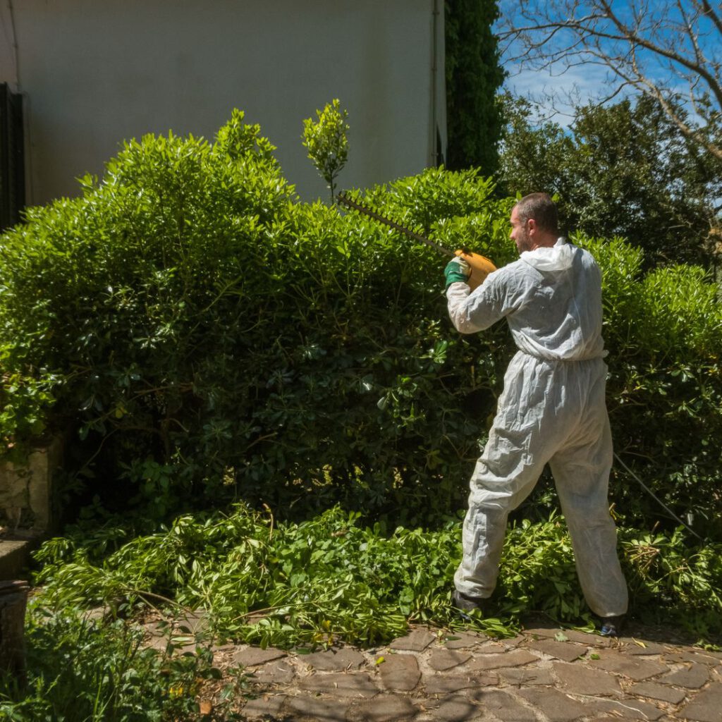 Green Waste Solutions: 4 Effective Ways to Dispose of Green Waste