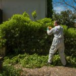 Green Waste Solutions: 4 Effective Ways to Dispose of Green Waste