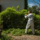 Green Waste Solutions: 4 Effective Ways to Dispose of Green Waste