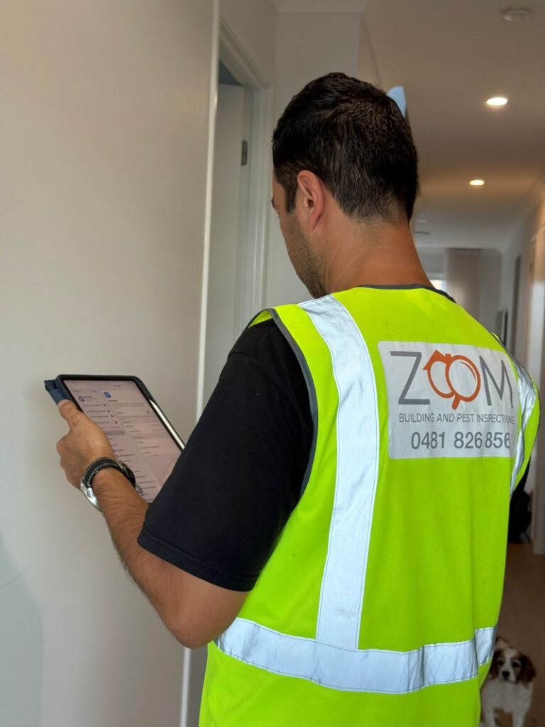 Building and Pest Inspection Options in Brisbane: What to Select?